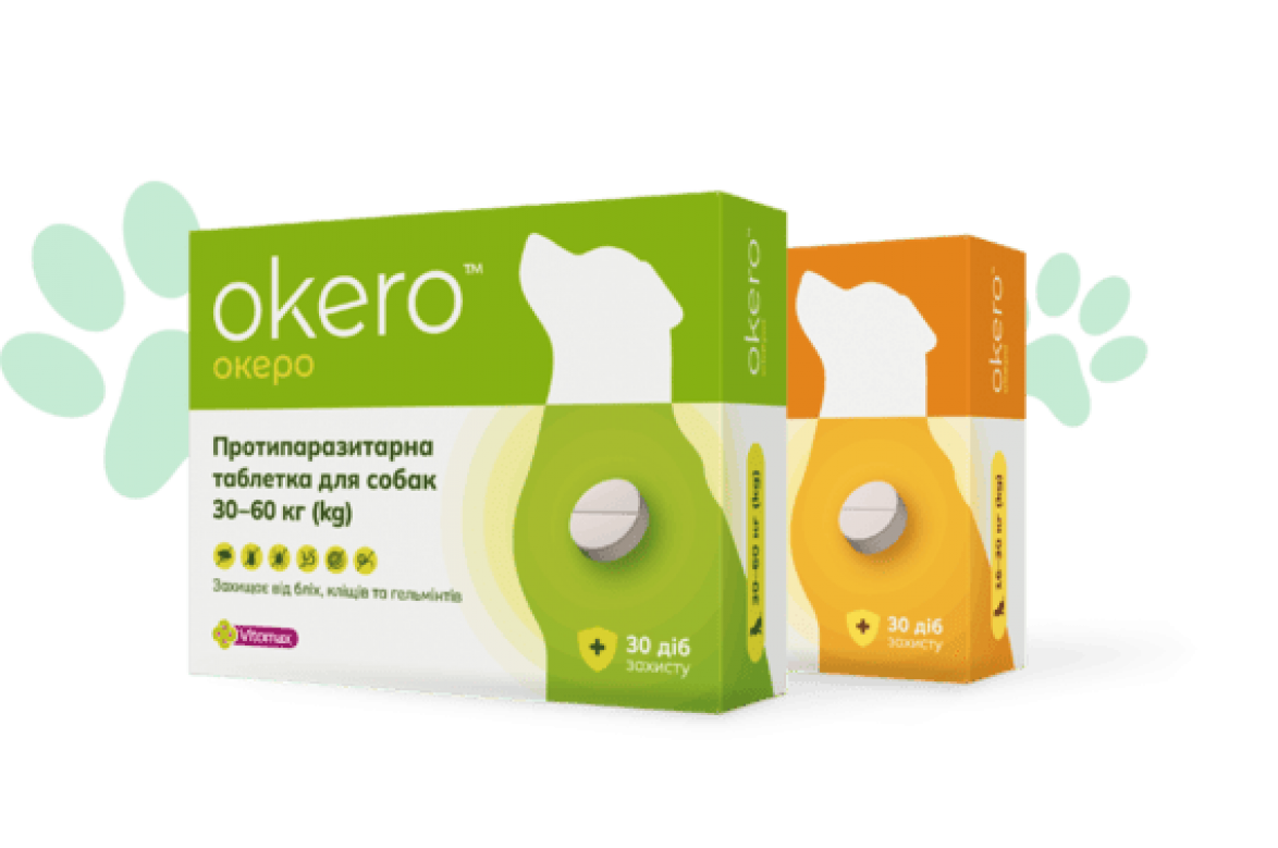 Ветеринарія