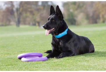 Игрушка для собак Тренировочный снаряд Puller Standard 28 см 2шт