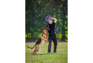 Игрушка для собак Тренировочный снаряд Puller Standard 28 см 2шт