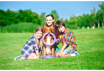 Игрушка для собак Тренировочный снаряд Puller Standard 28 см 2шт