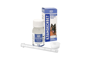 Кламоксивет 50 мл – антибиотик широкого спектра действия для собак и кошек