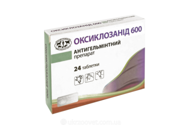ОКСИКЛАЗОНИД-600 таблетки 1 г, № 24