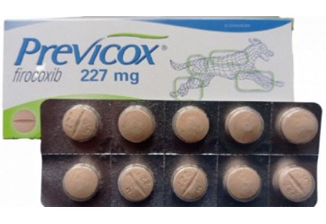 Превикокс 227 мг лечение остеоартрита у собак, 10 таблеток (блистер)